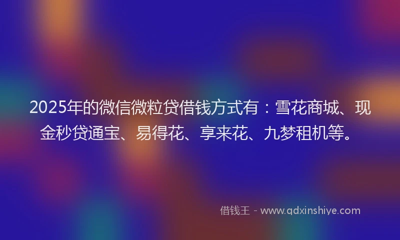 2025年的微信微粒贷借钱方式有：雪花商城、现金秒贷通宝、易得花、享来花、九梦租机等。