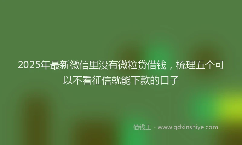 2025年最新微信里没有微粒贷借钱，梳理五个可以不看征信就能下款的口子