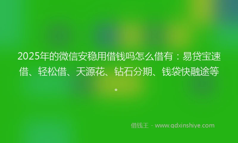 2025年的微信安稳用借钱吗怎么借有：易贷宝速借、轻松借、天源花、钻石分期、钱袋快融途等。