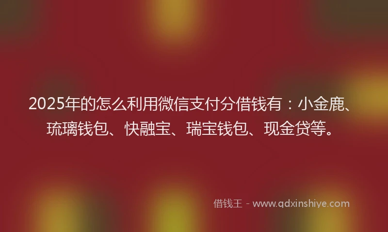 2025年的怎么利用微信支付分借钱有：小金鹿、琉璃钱包、快融宝、瑞宝钱包、现金贷等。