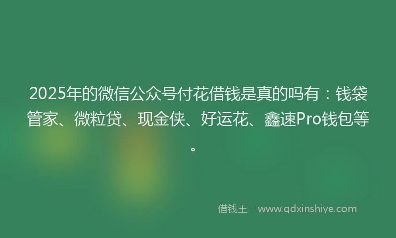2025年的微信公众号付花借钱是真的吗有：钱袋管家、微粒贷、现金侠、好运花、鑫速Pro钱包等。