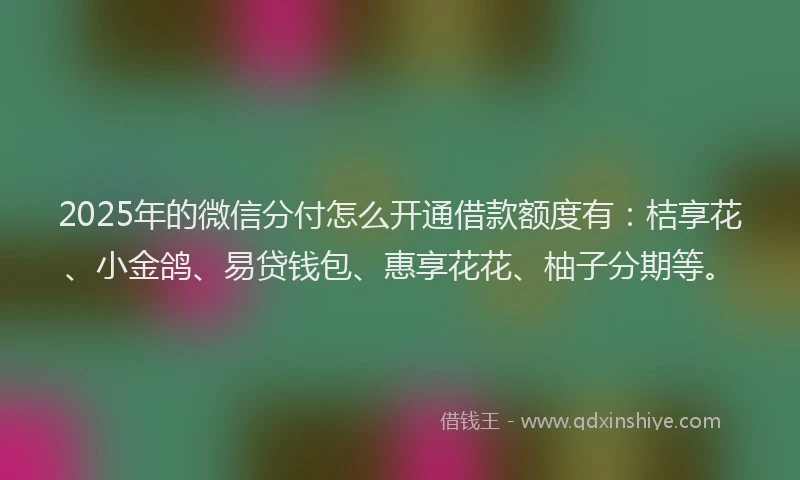 2025年的微信分付怎么开通借款额度有：桔享花、小金鸽、易贷钱包、惠享花花、柚子分期等。