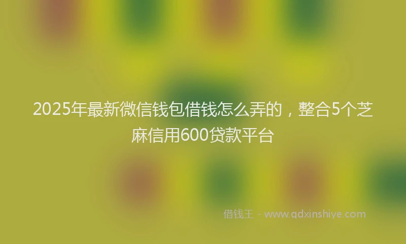 2025年最新微信钱包借钱怎么弄的，整合5个芝麻信用600贷款平台
