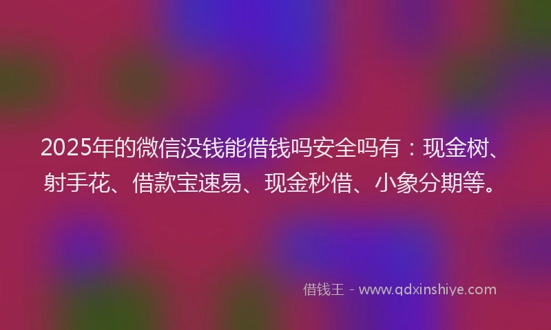 2025年的微信没钱能借钱吗安全吗有：现金树、射手花、借款宝速易、现金秒借、小象分期等。