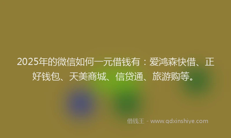 2025年的微信如何一元借钱有：爱鸿森快借、正好钱包、天美商城、信贷通、旅游购等。