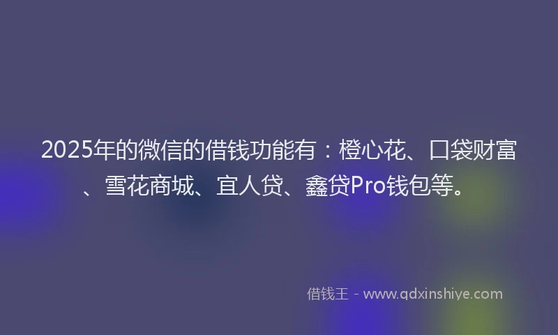 2025年的微信的借钱功能有：橙心花、口袋财富、雪花商城、宜人贷、鑫贷Pro钱包等。