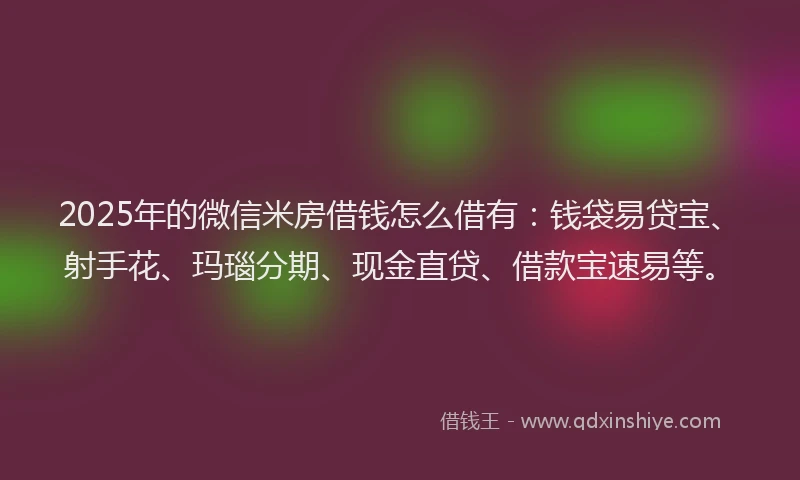 2025年的微信米房借钱怎么借有：钱袋易贷宝、射手花、玛瑙分期、现金直贷、借款宝速易等。