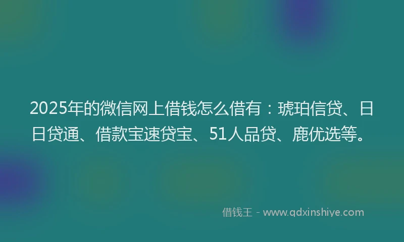2025年的微信网上借钱怎么借有：琥珀信贷、日日贷通、借款宝速贷宝、51人品贷、鹿优选等。