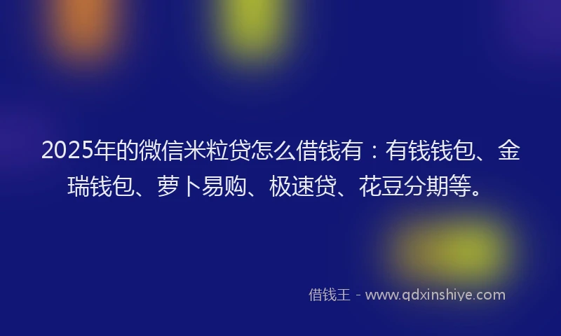 2025年的微信米粒贷怎么借钱有：有钱钱包、金瑞钱包、萝卜易购、极速贷、花豆分期等。