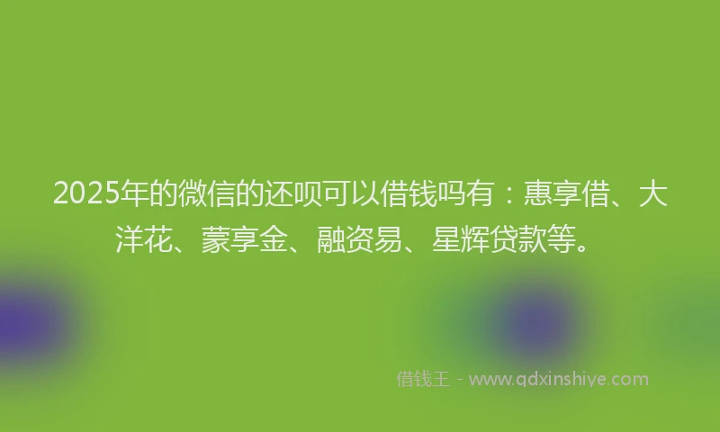 2025年的微信的还呗可以借钱吗有：惠享借、大洋花、蒙享金、融资易、星辉贷款等。