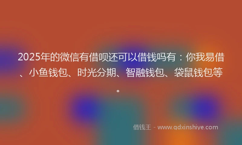 2025年的微信有借呗还可以借钱吗有：你我易借、小鱼钱包、时光分期、智融钱包、袋鼠钱包等。