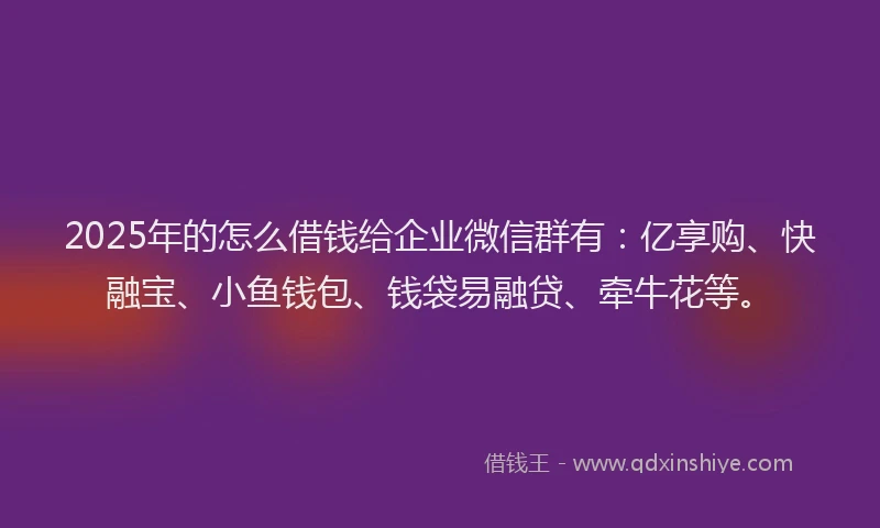 2025年的怎么借钱给企业微信群有：亿享购、快融宝、小鱼钱包、钱袋易融贷、牵牛花等。