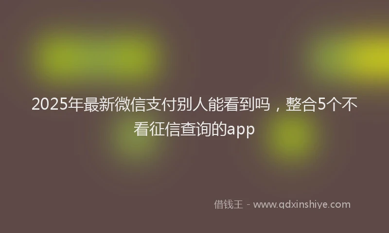 2025年最新微信支付别人能看到吗，整合5个不看征信查询的app