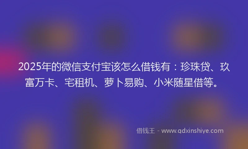 2025年的微信支付宝该怎么借钱有：珍珠贷、玖富万卡、宅租机、萝卜易购、小米随星借等。
