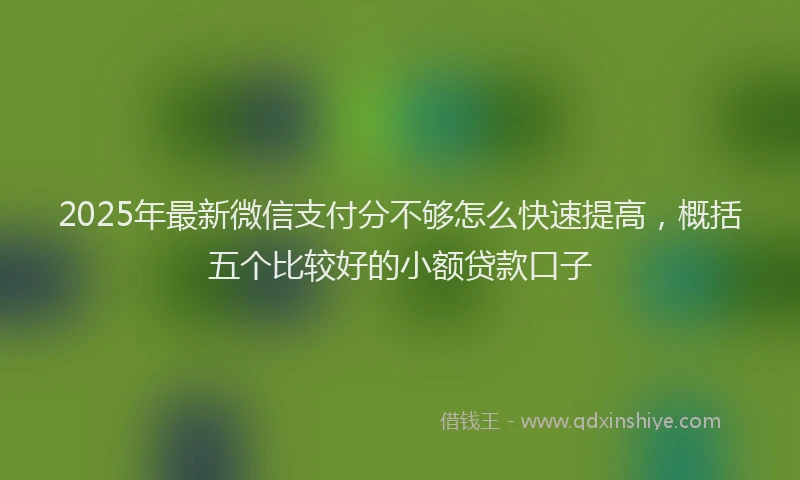 2025年最新微信支付分不够怎么快速提高，概括五个比较好的小额贷款口子