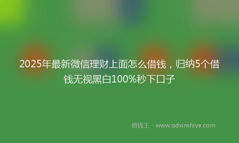 2025年最新微信理财上面怎么借钱，归纳5个借钱无视黑白100%秒下口子