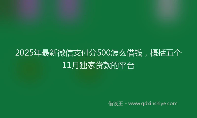 2025年最新微信支付分500怎么借钱，概括五个11月独家贷款的平台