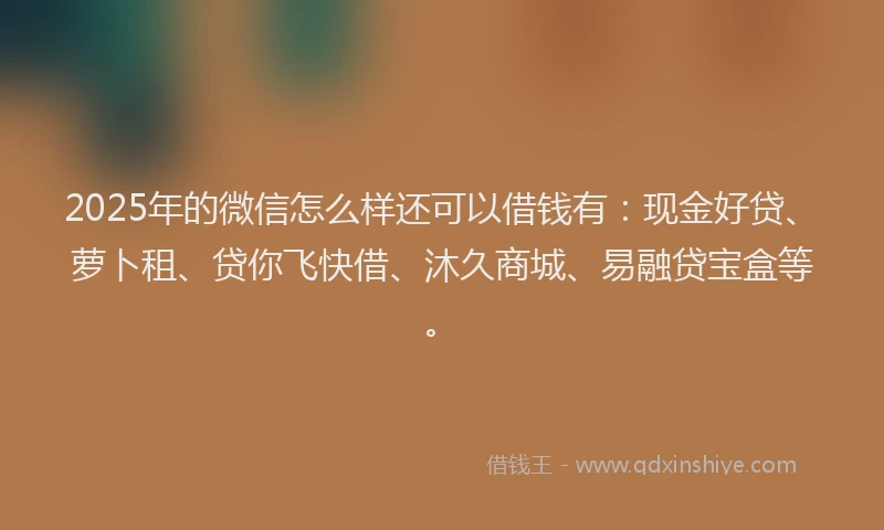 2025年的微信怎么样还可以借钱有：现金好贷、萝卜租、贷你飞快借、沐久商城、易融贷宝盒等。