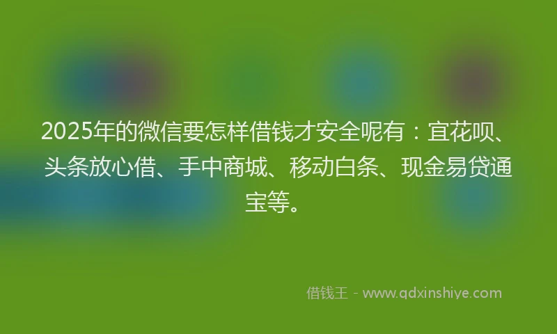 2025年的微信要怎样借钱才安全呢有：宜花呗、头条放心借、手中商城、移动白条、现金易贷通宝等。