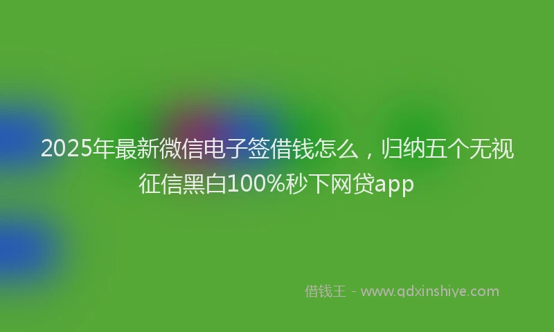 2025年最新微信电子签借钱怎么，归纳五个无视征信黑白100%秒下网贷app