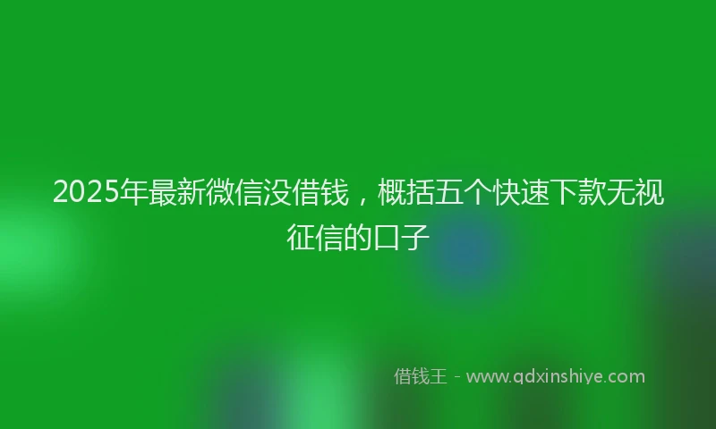2025年最新微信没借钱，概括五个快速下款无视征信的口子