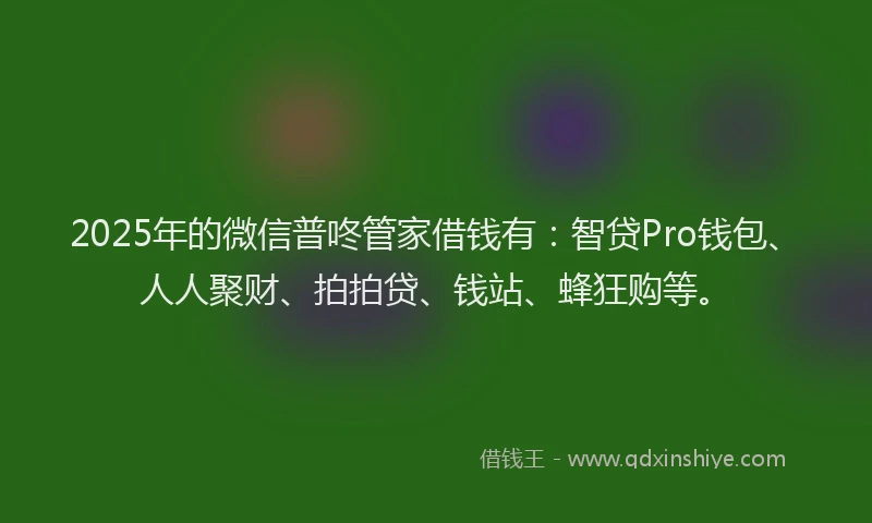 2025年的微信普咚管家借钱有：智贷Pro钱包、人人聚财、拍拍贷、钱站、蜂狂购等。