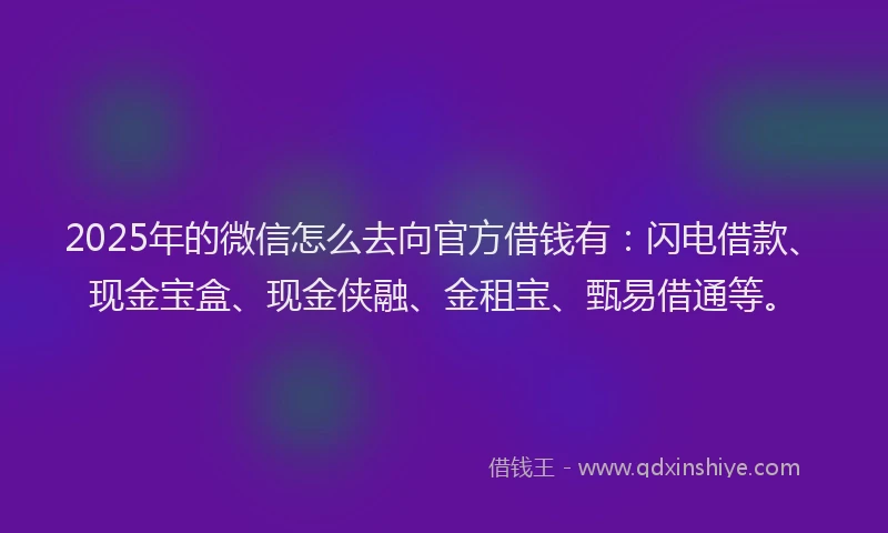 2025年的微信怎么去向官方借钱有：闪电借款、现金宝盒、现金侠融、金租宝、甄易借通等。