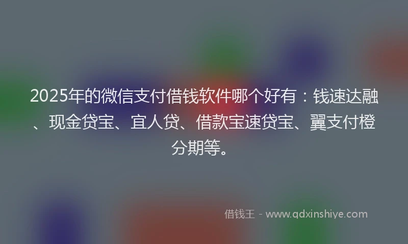 2025年的微信支付借钱软件哪个好有：钱速达融、现金贷宝、宜人贷、借款宝速贷宝、翼支付橙分期等。