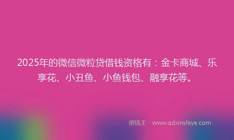 2025年的微信微粒贷借钱资格有：金卡商城、乐享花、小丑鱼、小鱼钱包、融享花等。