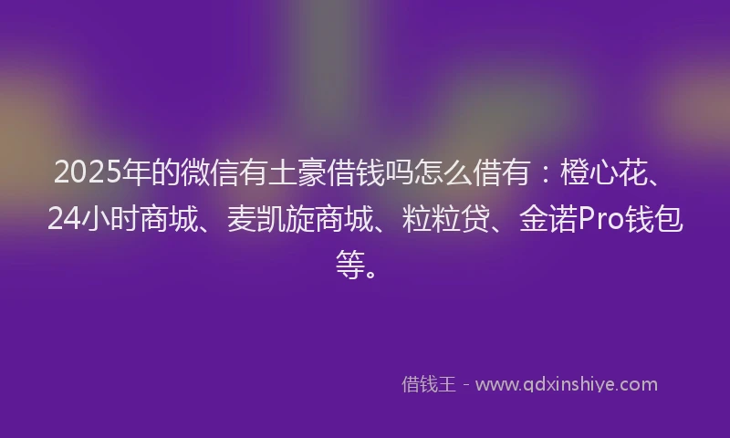2025年的微信有土豪借钱吗怎么借有：橙心花、24小时商城、麦凯旋商城、粒粒贷、金诺Pro钱包等。