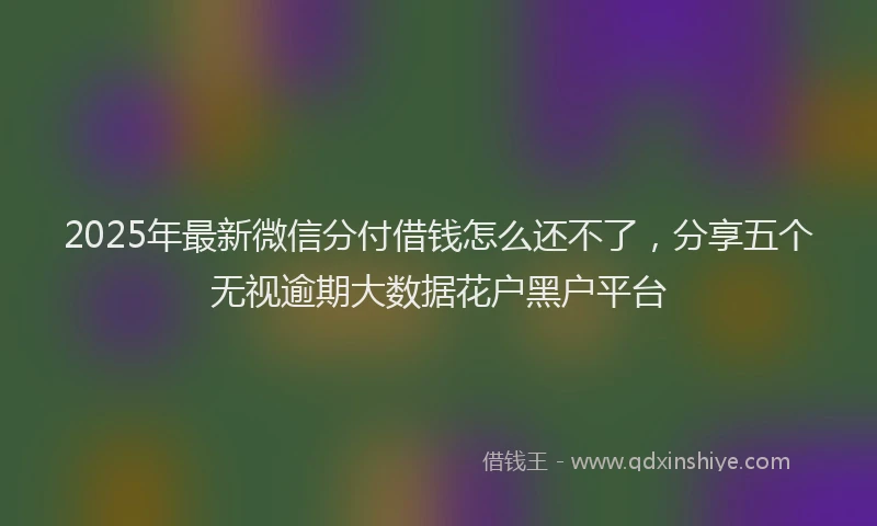 2025年最新微信分付借钱怎么还不了，分享五个无视逾期大数据花户黑户平台