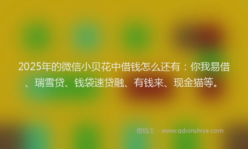 2025年的微信小贝花中借钱怎么还有：你我易借、瑞雪贷、钱袋速贷融、有钱来、现金猫等。