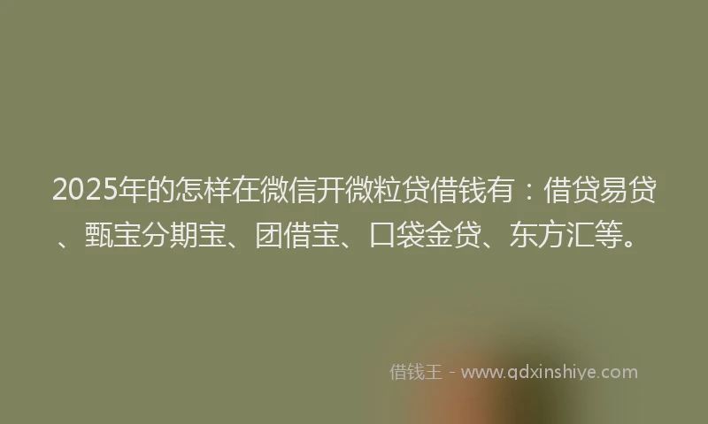 2025年的怎样在微信开微粒贷借钱有：借贷易贷、甄宝分期宝、团借宝、口袋金贷、东方汇等。