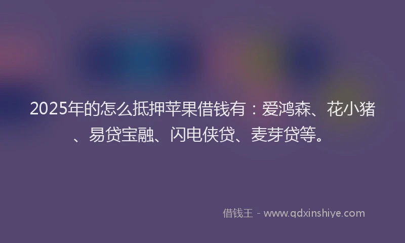 2025年的怎么抵押苹果借钱有：爱鸿森、花小猪、易贷宝融、闪电侠贷、麦芽贷等。