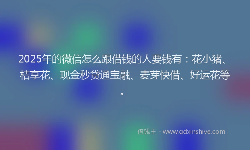 2025年的微信怎么跟借钱的人要钱有：花小猪、桔享花、现金秒贷通宝融、麦芽快借、好运花等。