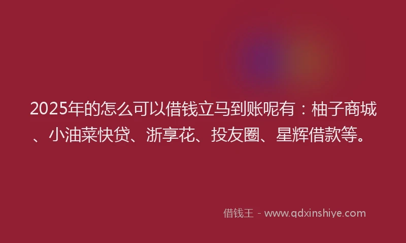 2025年的怎么可以借钱立马到账呢有：柚子商城、小油菜快贷、浙享花、投友圈、星辉借款等。