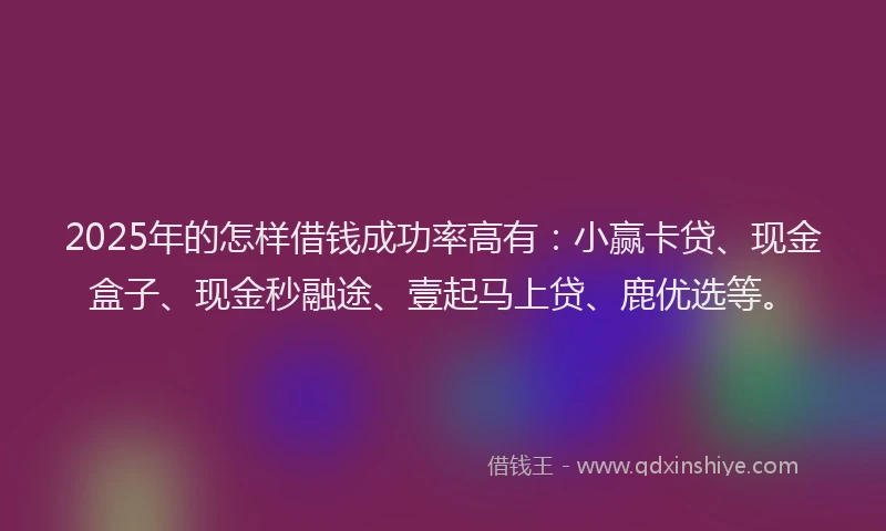 2025年的怎样借钱成功率高有：小赢卡贷、现金盒子、现金秒融途、壹起马上贷、鹿优选等。