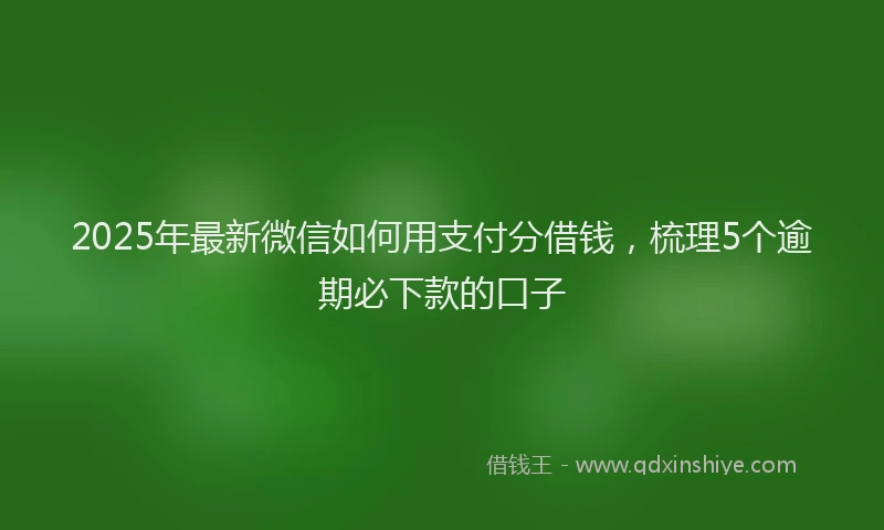 2025年最新微信如何用支付分借钱，梳理5个逾期必下款的口子