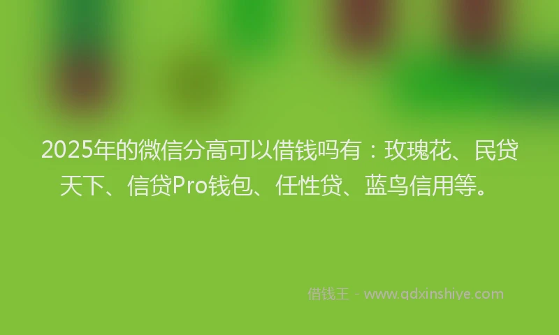2025年的微信分高可以借钱吗有:玫瑰花、民贷天下、信贷Pro钱包、任性贷、蓝鸟信用等。