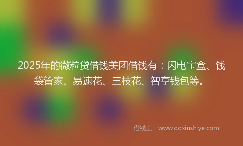 2025年的微粒贷借钱美团借钱有：闪电宝盒、钱袋管家、易速花、三枝花、智享钱包等。