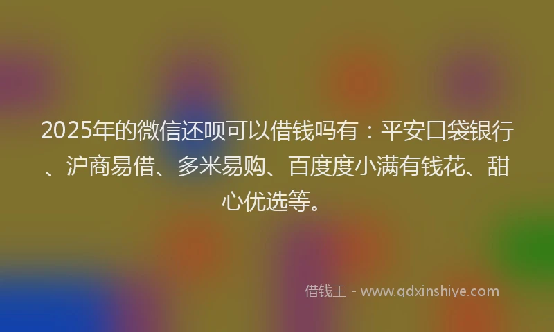 2025年的微信还呗可以借钱吗有：平安口袋银行、沪商易借、多米易购、百度度小满有钱花、甜心优选等。