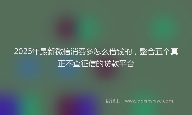 2025年最新微信消费多怎么借钱的，整合五个真正不查征信的贷款平台