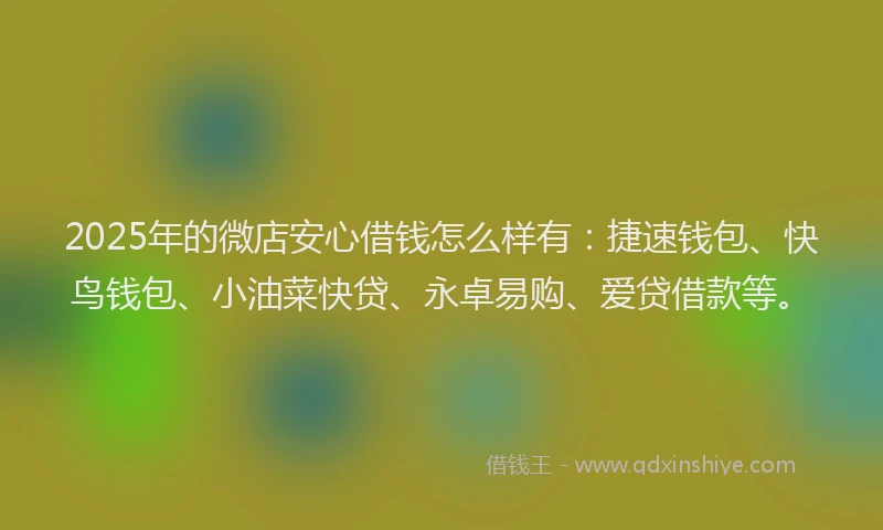 2025年的微店安心借钱怎么样有：捷速钱包、快鸟钱包、小油菜快贷、永卓易购、爱贷借款等。