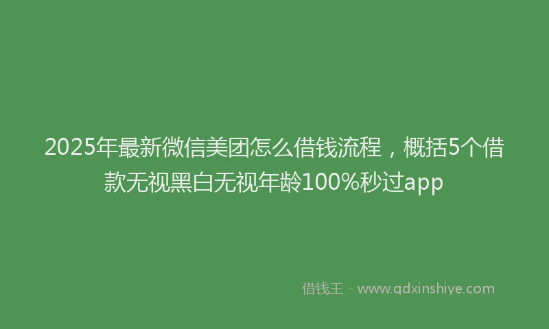 2025年最新微信美团怎么借钱流程，概括5个借款无视黑白无视年龄100%秒过app