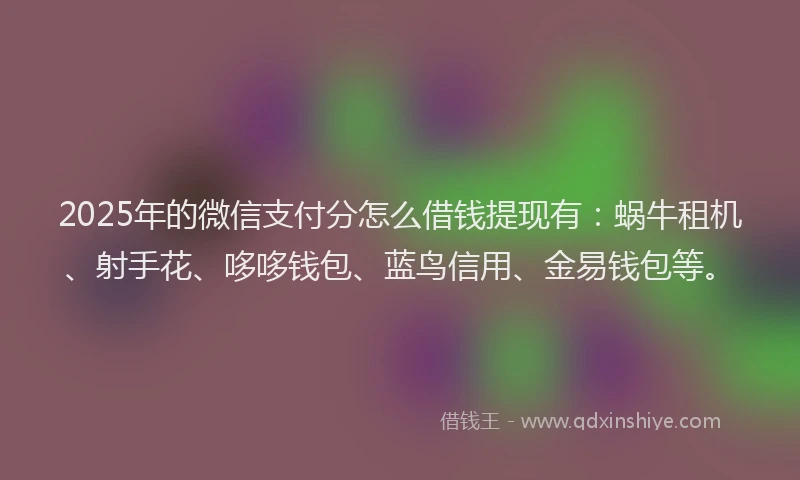 2025年的微信支付分怎么借钱提现有：蜗牛租机、射手花、哆哆钱包、蓝鸟信用、金易钱包等。