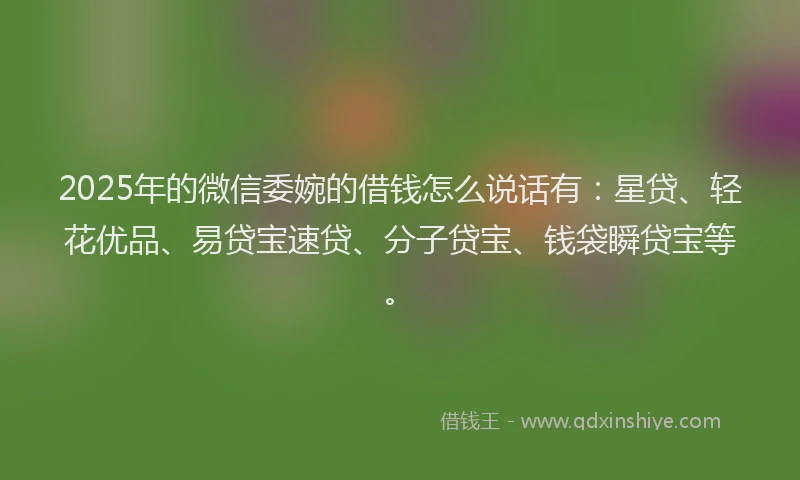 2025年的微信委婉的借钱怎么说话有：星贷、轻花优品、易贷宝速贷、分子贷宝、钱袋瞬贷宝等。