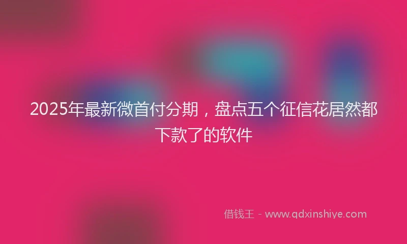 2025年最新微首付分期，盘点五个征信花居然都下款了的软件