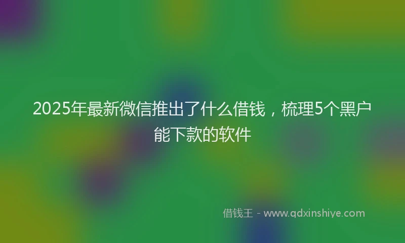 2025年最新微信推出了什么借钱，梳理5个黑户能下款的软件