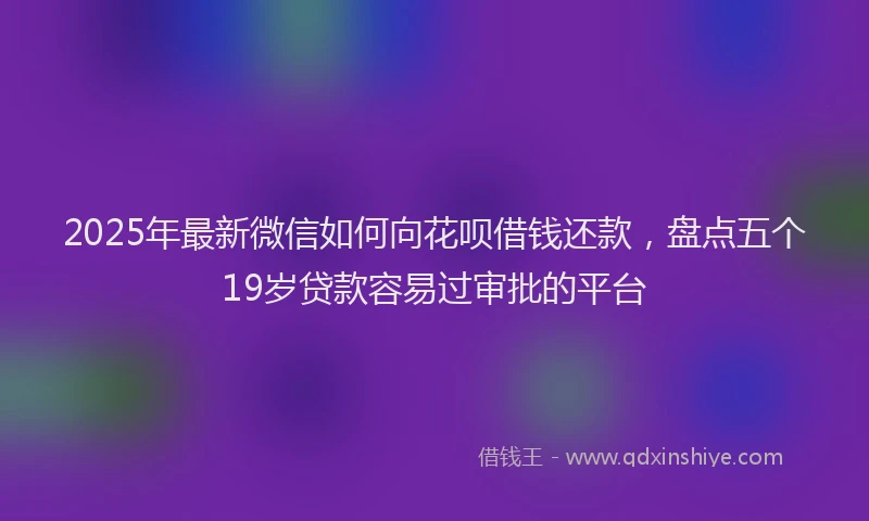 2025年最新微信如何向花呗借钱还款，盘点五个19岁贷款容易过审批的平台
