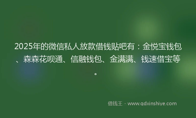 2025年的微信私人放款借钱贴吧有：金悦宝钱包、森森花呗通、信融钱包、金满满、钱速借宝等。